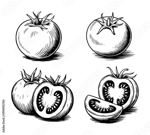 Hand-drawn of whole and sliced tomatoes in black and white food fresh ingredient