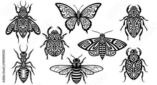 Insect icons, black and white, vector illustrations, bug collection, 7 designs