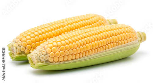 Tableau sur toile corn on the cob