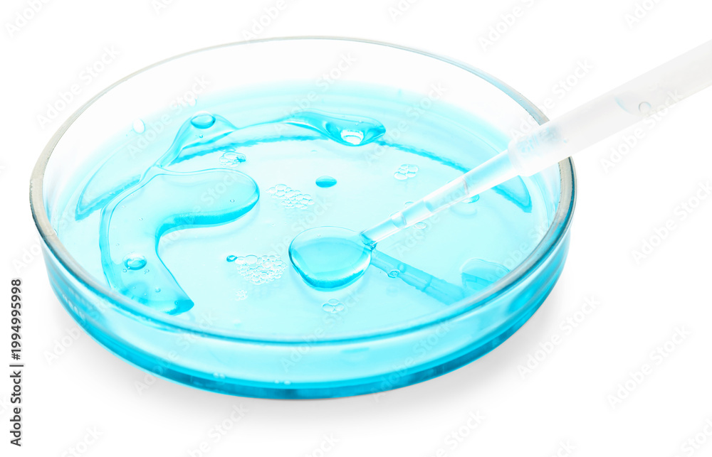 Fototapeta premium Biochemistry. Dripping liquid onto Petri dish with samples isolated on white