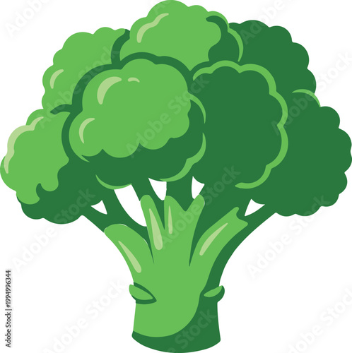 Green broccoli floret vector illustration isolated on white background