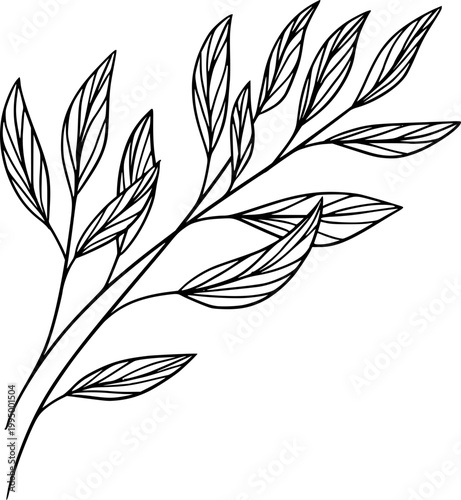 Minimal Botanical Line Art Leaf Branch Vector Illustration