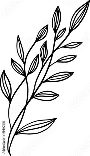 Minimal Botanical Line Art Leaf Branch Vector Illustration