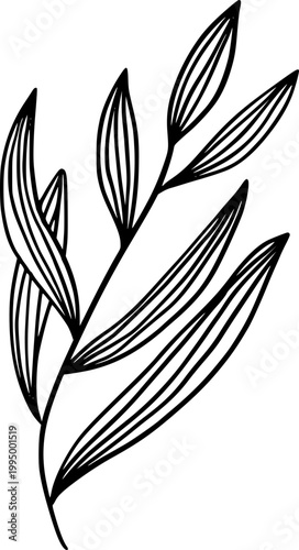 Minimal Botanical Line Art Leaf Branch Vector Illustration