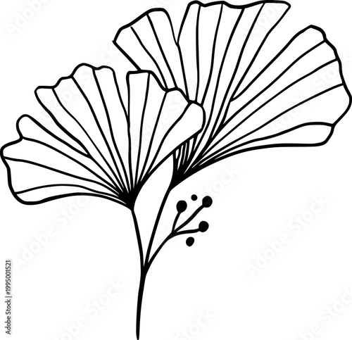 Minimal Botanical Line Art Leaf Branch Vector Illustration