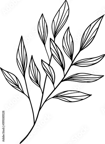 Minimal Botanical Line Art Leaf Branch Vector Illustration
