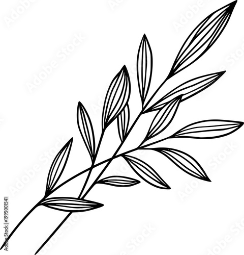 Minimal Botanical Line Art Leaf Branch Vector Illustration