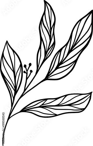 Minimal Botanical Line Art Leaf Branch Vector Illustration