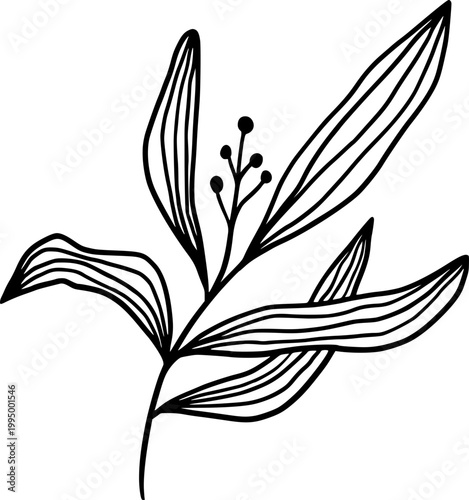 Minimal Botanical Line Art Leaf Branch Vector Illustration