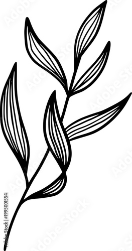Minimal Botanical Line Art Leaf Branch Vector Illustration