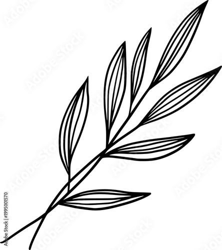 Minimal Botanical Line Art Leaf Branch Vector Illustration