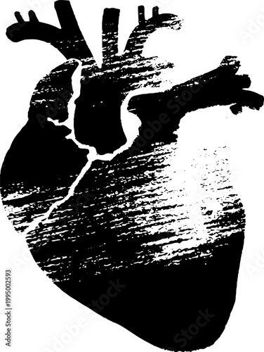 High contrast black and white anatomical heart with nail scratches for grunge background and bold poster design