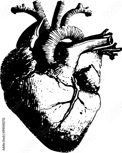 High contrast anatomical heart with eye and halo for tattoo design and poster background with vintage engraving style