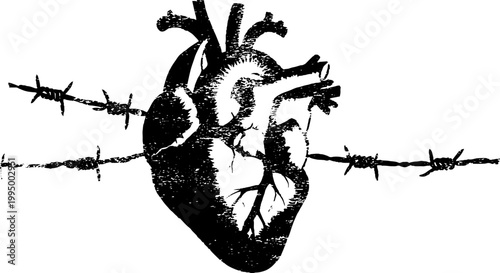 Anatomical heart threaded on barbed wire high contrast black and white graphic for tattoo and poster design