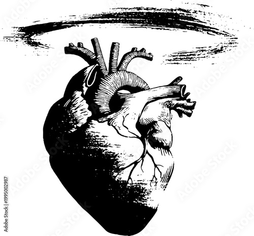 Anatomical heart with cracked halo high contrast black and white for poster background and emblem design