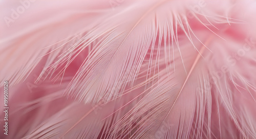 Abstract pink texture a delicate blend of layers and light evoking softness and dreamlike qualities
