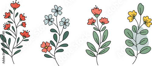 Colorful illustrations of four different types of flowering plants with green leaves and vibrant red and yellow blooms on white