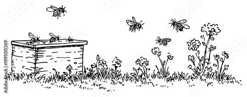 Beehive in Garden with Flying Bees and Flowers Beekeeping Nature Sketch Illustration