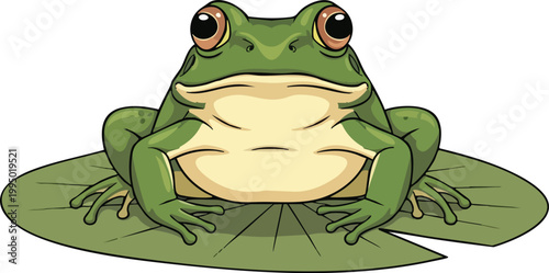 Close up of a green frog on a lily pad with white background pond life pet frog tree