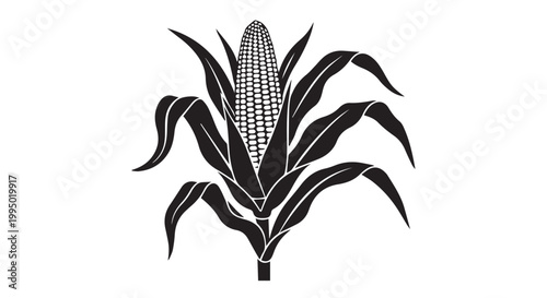 Vector illustration of a corn cob with leaves