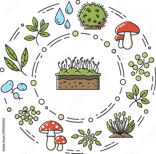 Soil ecosystem cycle with plants, microorganisms and organic processes in flat style for ecology, biology and environmental design