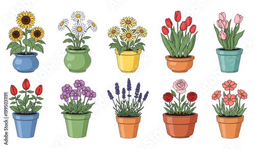 Flat vector collection of black and white squirrel cartoon characters in different poses such as running, holding nuts, climbing trees, and sitting in cute minimal outline style for kids design and st