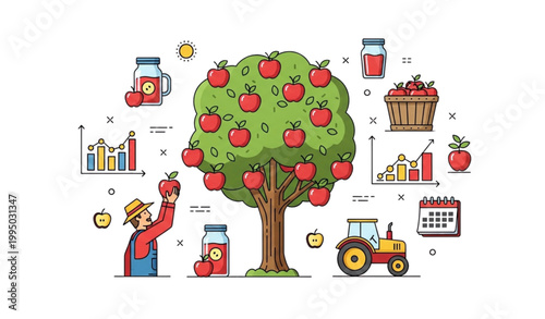 Apple tree harvest vector illustration flat farming infographic design