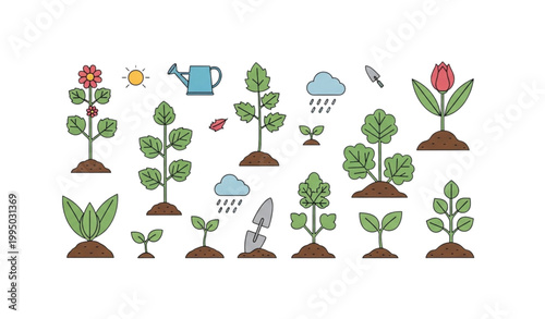 Vegetable farming cultivation vector set organic infographic flat illustration