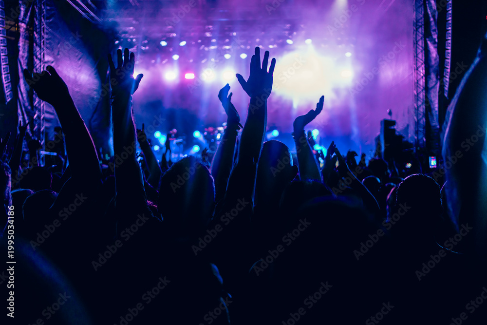 Obraz premium crowd having fun at concert summer music festival