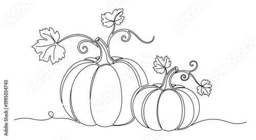 A delicate line drawing showcases two pumpkins with vines and leaves