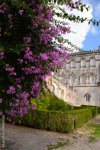 Blooming bougainvillea and vegetation in the park in front of the Busaco Palace in Portugal Coimbra region. Themes include travel, cultural heritage, and natural beauty.