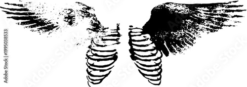 Fragmented angel ribcage with distressed wings in high contrast black and white for poster background and apparel design