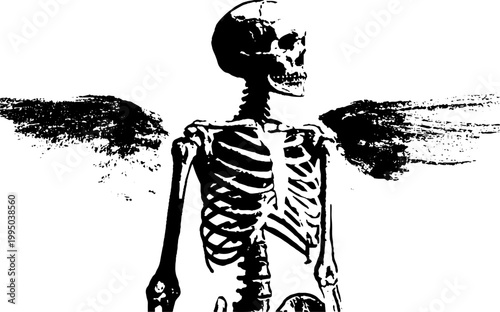High contrast black and white skeleton with wings standing in profile for gothic poster and tattoo design background