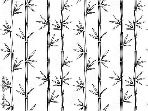 Black and white bamboo stalks with leaves pattern white background, plant nature