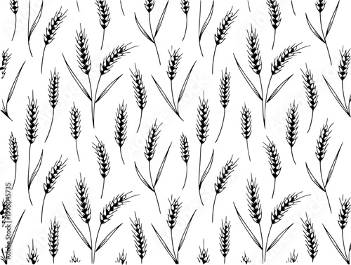 Hand-drawn wheat stalks pattern white background, black and white botanical grain