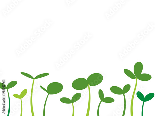 Minimalist green sprouts growing, simple seedling freshness and growth concept plant