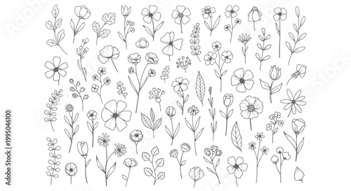 Diverse collection of hand-drawn floral elements and botanical illustrations in a clean vector graphic design