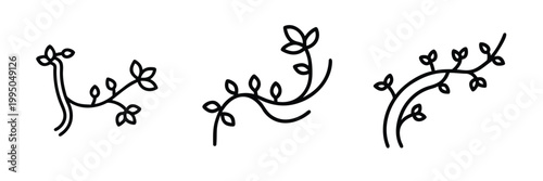 Creeper plant line icons set climbing ivy leaf botanical vine sprout decorative floral branch natural garden greenery aesthetic spring foliage & more with editable stroke.