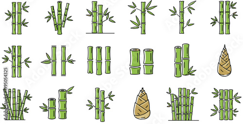 Bamboo Plant Growth Stages Icon Set Featuring Green Bamboo Stems Leaves Shoots and Sprouts Botanical Nature Illustration Collection Vector Design
