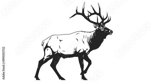 A striking black and white illustration of a majestic elk in profile