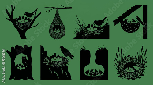 Collection of diverse bird nests with parent birds and chicks, showcasing various nesting habitats and styles.