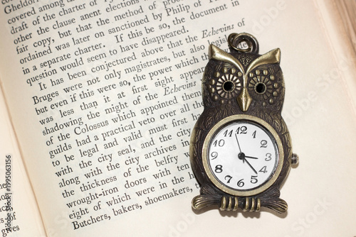 Owl Pocket Watch on Open Book