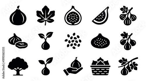 Fig fruit and plant life cycle icons in a solid black glyph style, showing a whole fruit, slice, leaf, seed, sprout, tree, and harvest in a basket