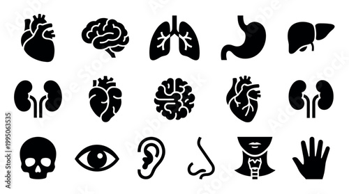 Collection of black human organ icons showing various body parts like the heart, brain, lungs, and liver in a minimalist glyph style for medical and anatomical design