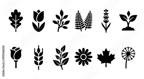 Set of black plant and flower icons in a simple silhouette style, a collection of botanical symbols including rose, tulip, wheat, maple leaf, dandelion, and a small sprout