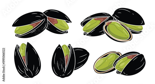 Pistachios in various stages of opening a dark silhouette