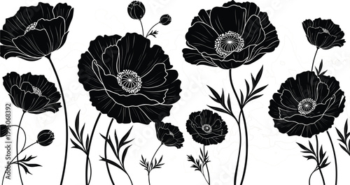 Photos Hand drawn black poppy flower silhouettes with delicate white outlines and stems