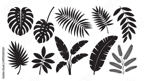 Black and white minimalist feather pattern