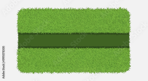 Green Grass Field with Dark Strip - Top View