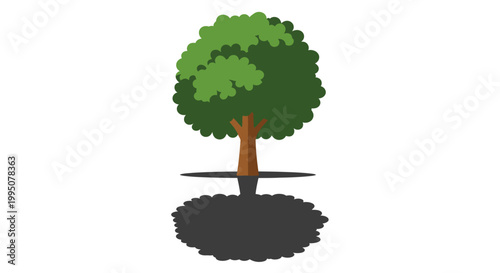 Stylized Green Tree with Detailed Brown Trunk and Dark Shadow